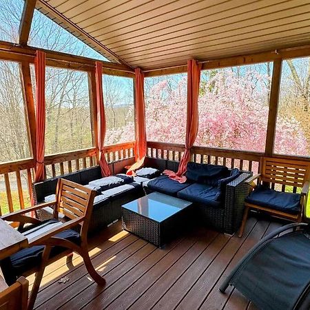 Woodland Whimsy A Private Escape, Hot Tub, Pool, Sunroom Saugerties Extérieur photo