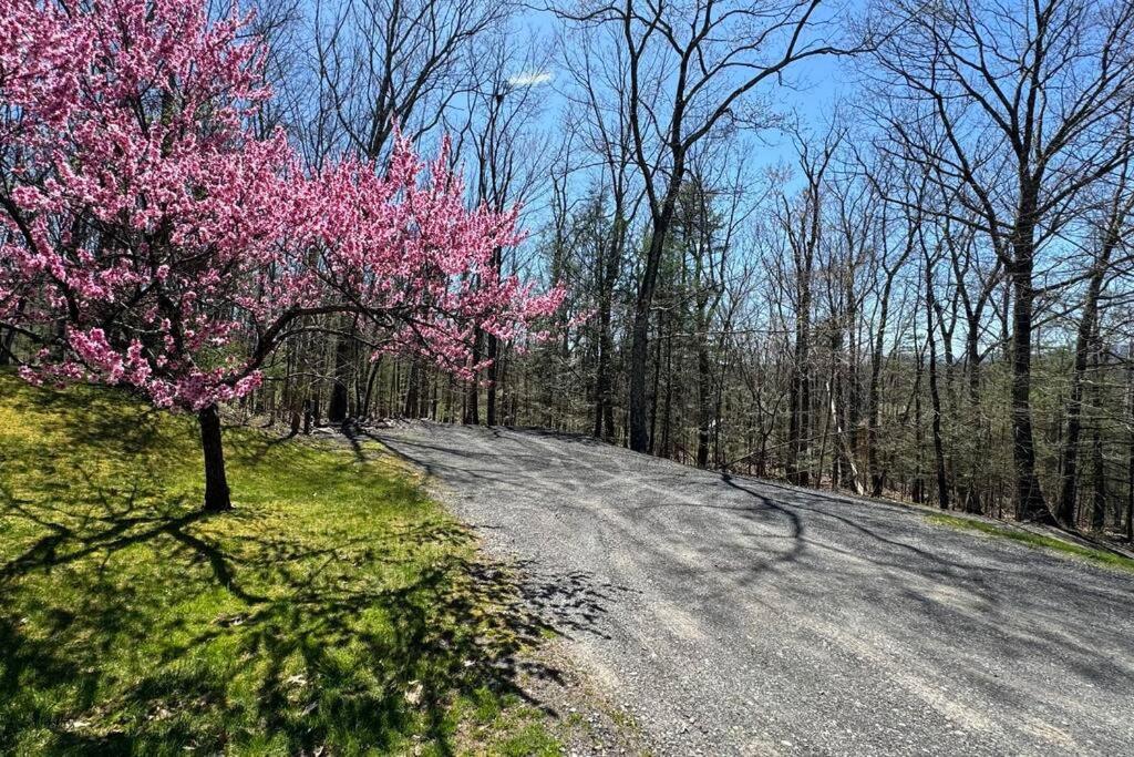 Woodland Whimsy A Private Escape, Hot Tub, Pool, Sunroom Saugerties Extérieur photo